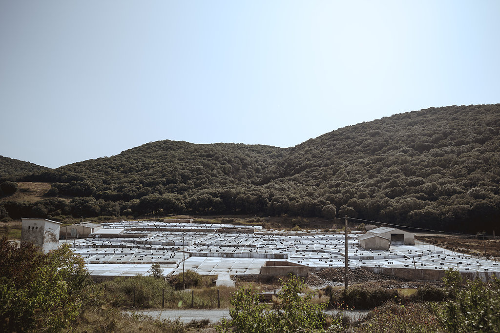 [山の中の塩田全景]